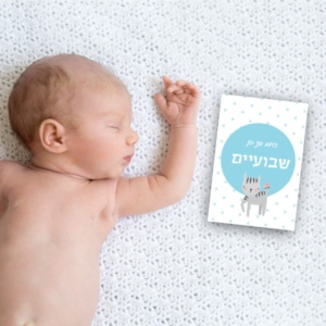 גלויות תיעוד חודשים לתינוק להדפסה-השנה הראשונה שלי-חיות תכלת