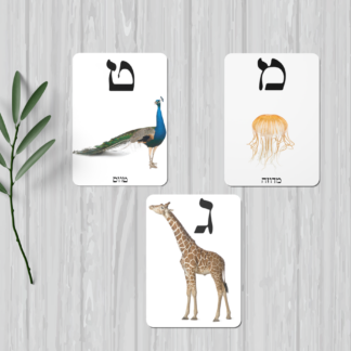 כרטיסיות אותיות א-ב חיות להדפסה(ג-ג'ירף)